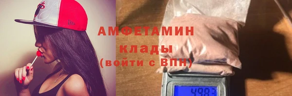 молекула духа Вяземский